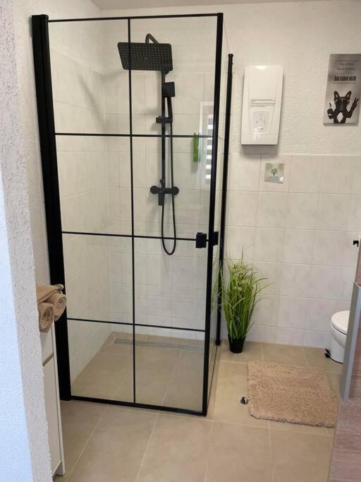 Mirabelle 4 Apartment Puttlingen